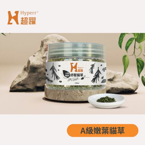 tw-11134207-7r98y-lvbg76ffw2plc5