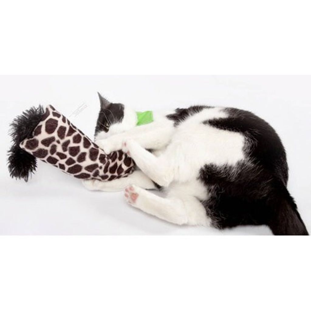 8336d6f57e7127edd1539f63c7601aab