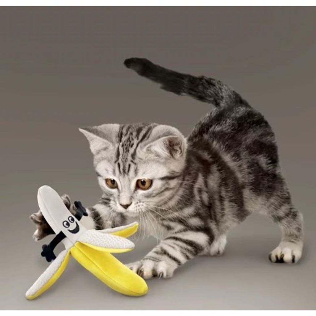 sg-11134201-22120-oxa2w4gy41kv58