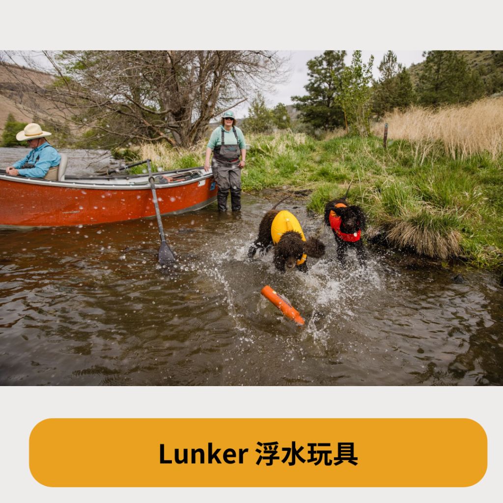 tw-11134207-7r98x-ly1wj0c65c863a