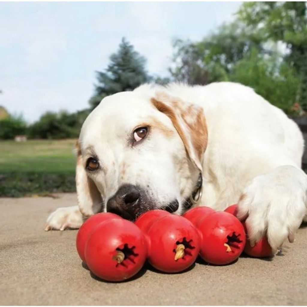 sg-11134201-22110-5hd67zyf01jv33