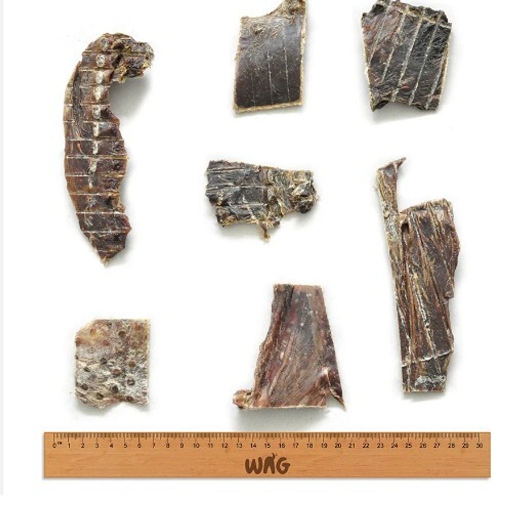 a1fc99411d58940a037e4466e8ad71be