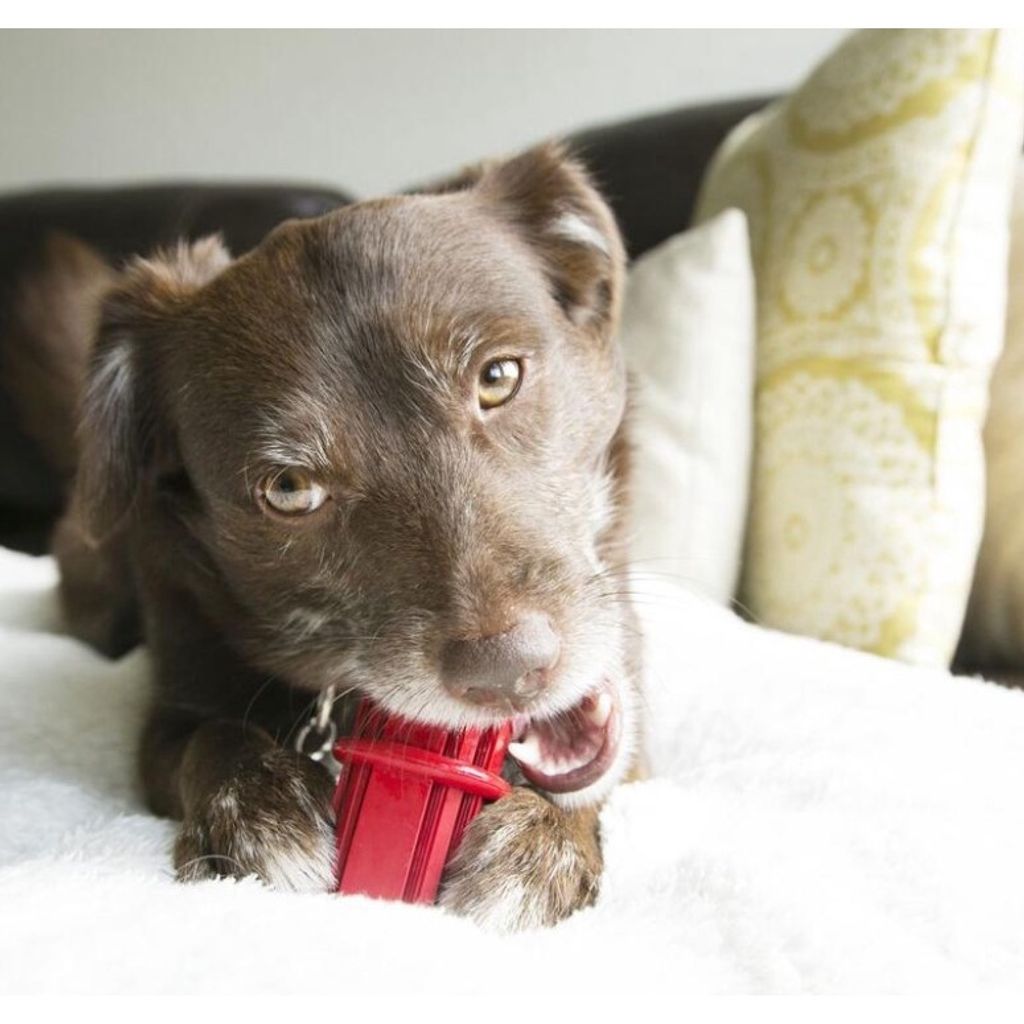 sg-11134201-22110-a4p7cl9w20jv89