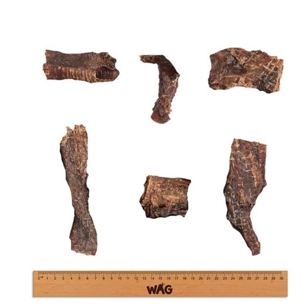 ce8421612ce4bdfe319c36d24adc801c