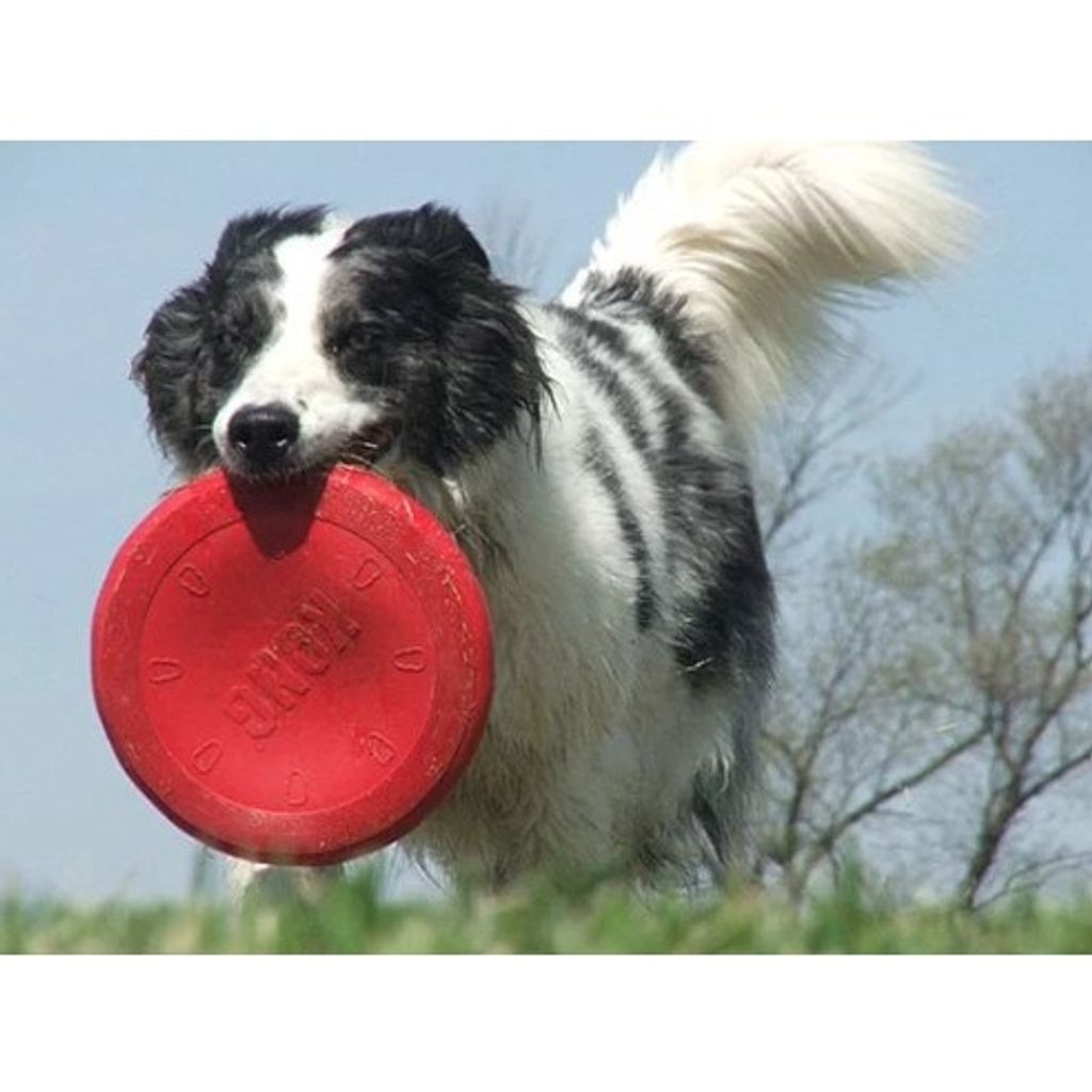 sg-11134201-22110-w41zk9ka57jv40