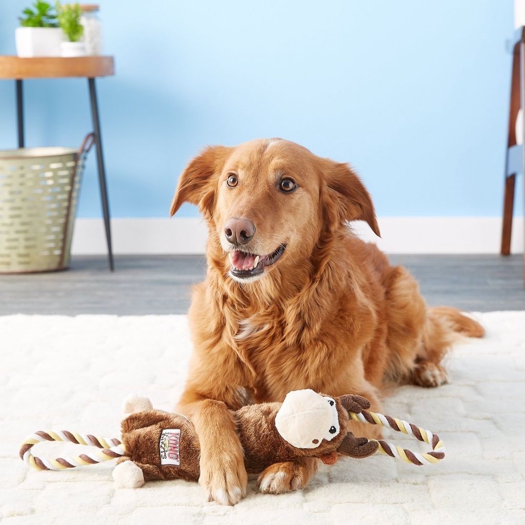 7130a1e428a16ffb0fc32b5390b0a9d0