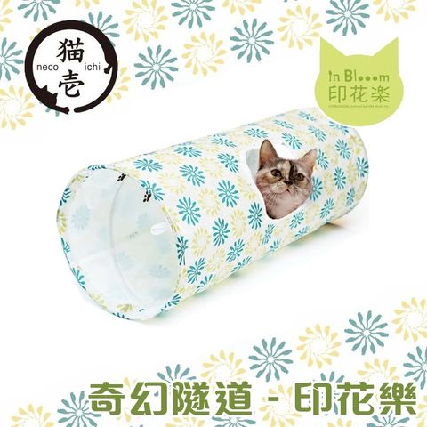 c12df608ab5229fa5e31e02b5d3ac5a1