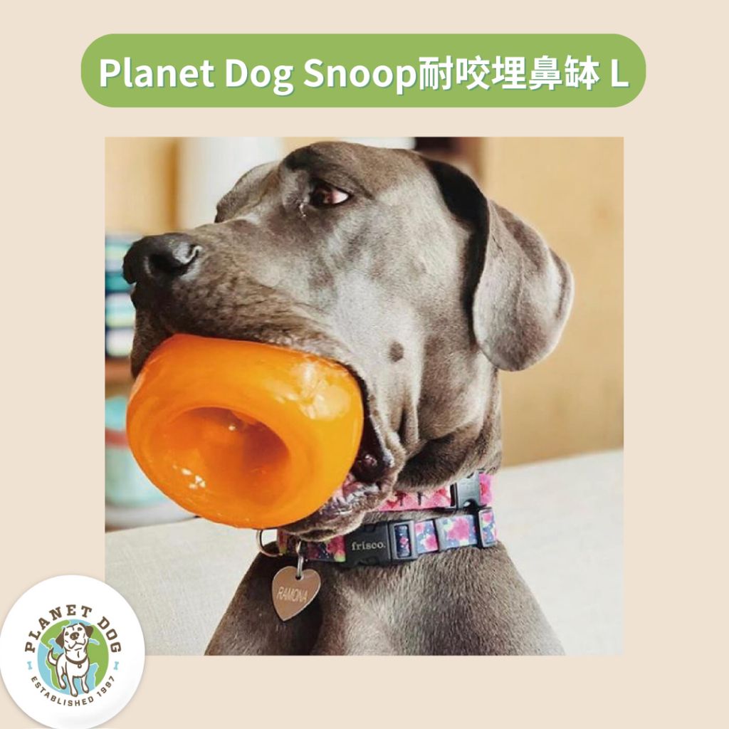 tw-11134207-7r98w-lwdyy1z8xpgmcf