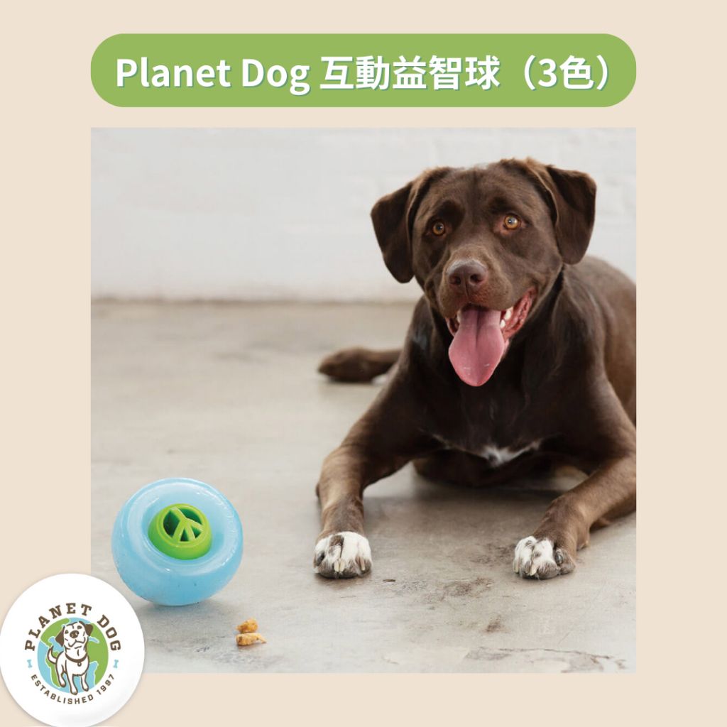 tw-11134207-7r98w-lwdutdknq81c35