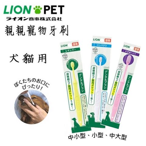 sg-11134201-22120-cjqdnnv21qkv8a