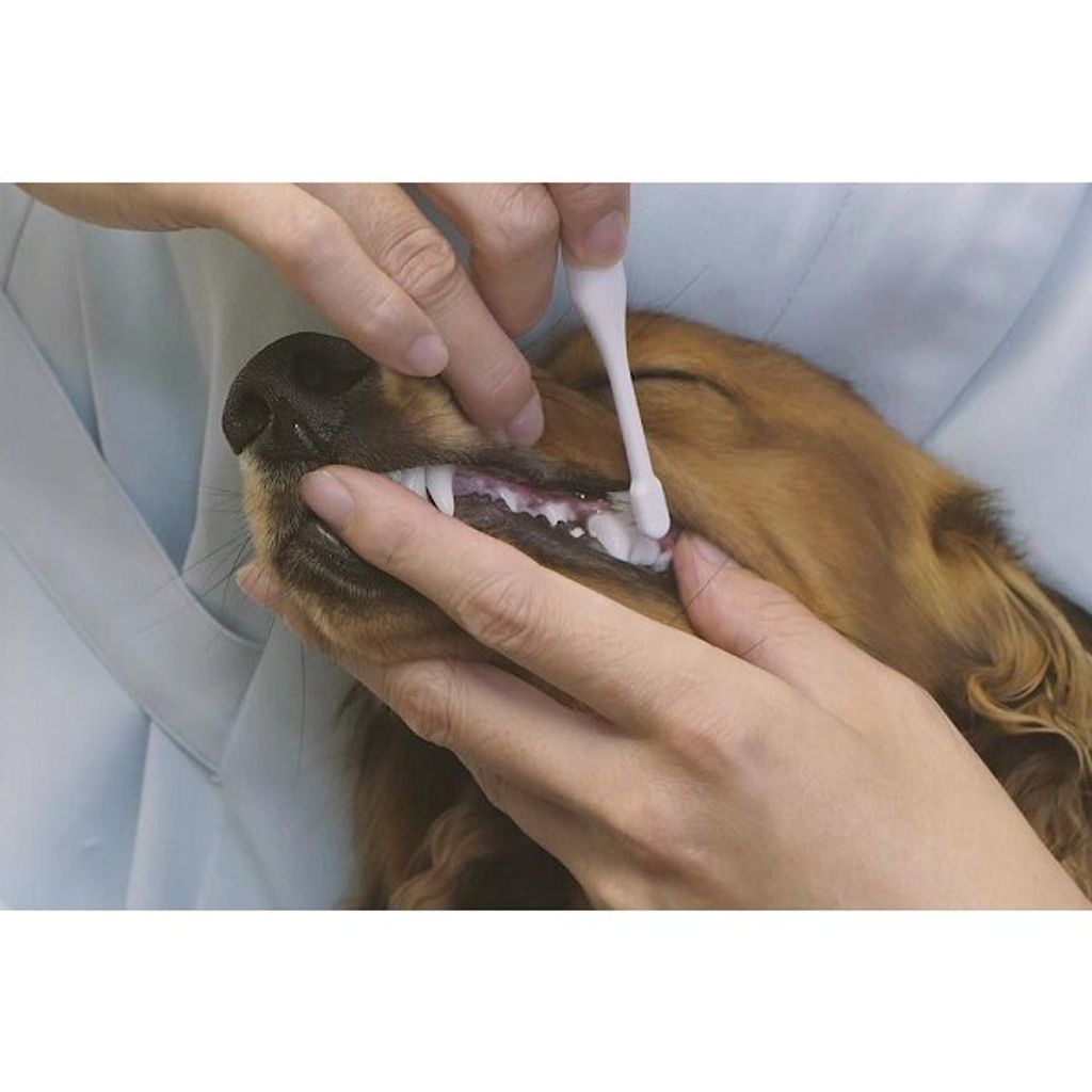 7334822e738eb33789036603b86b1fe2