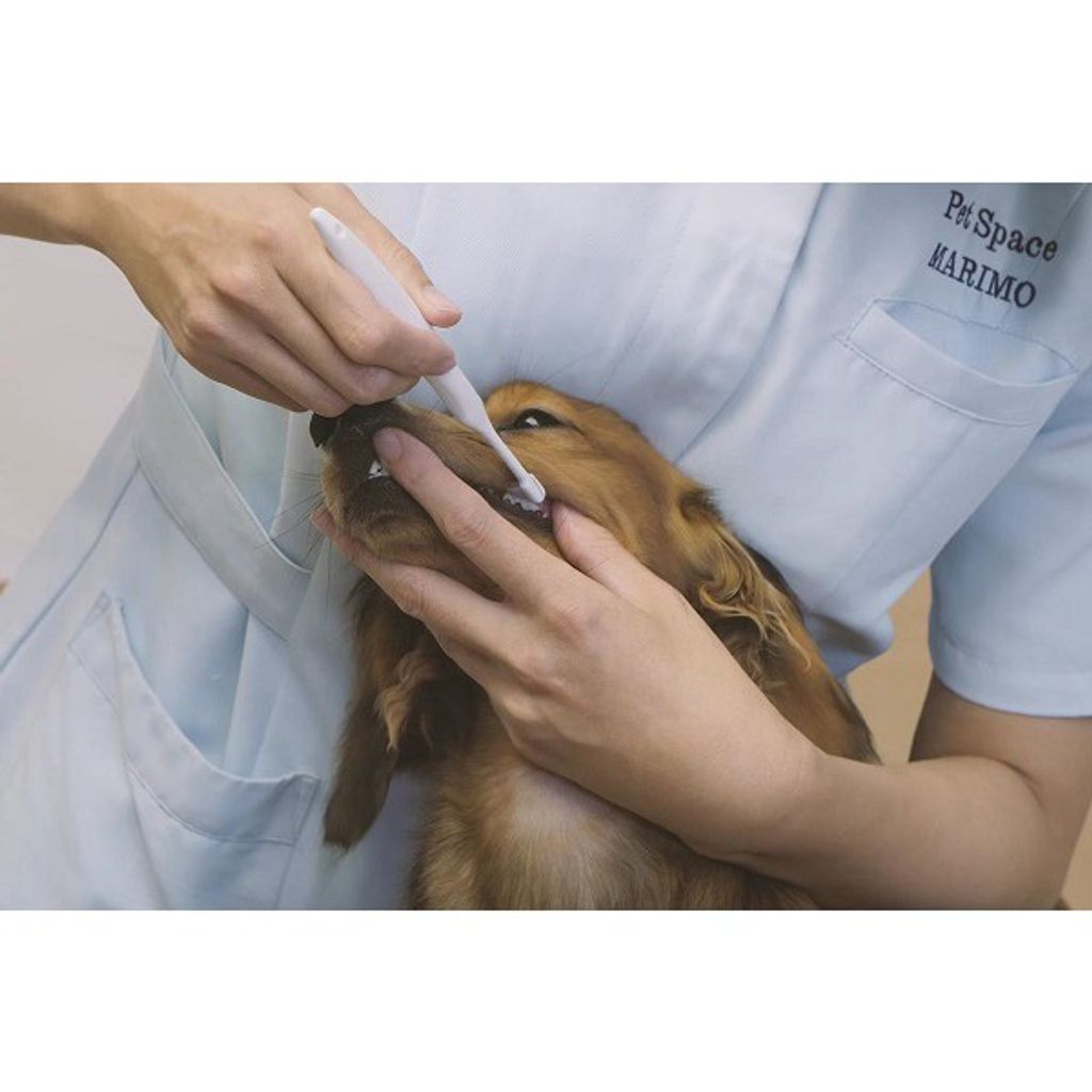 15858e9b40429994b87186ac4636aa56