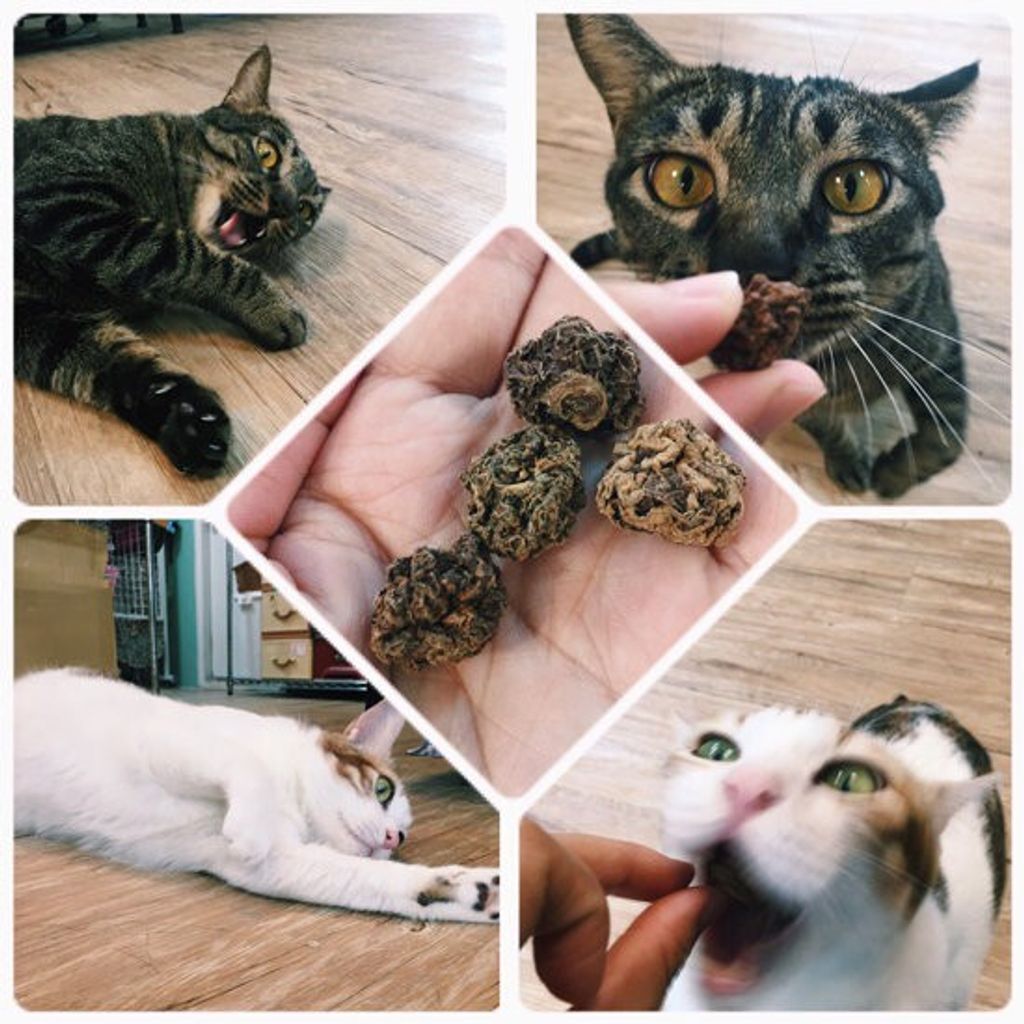 07316da1b40071249315ccf060b4db83