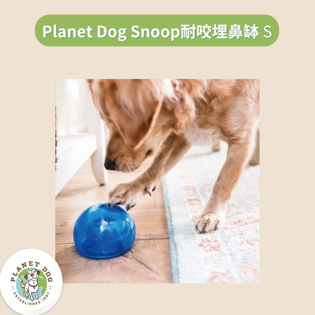 tw-11134207-7r98x-lwdyy1z8thrae0