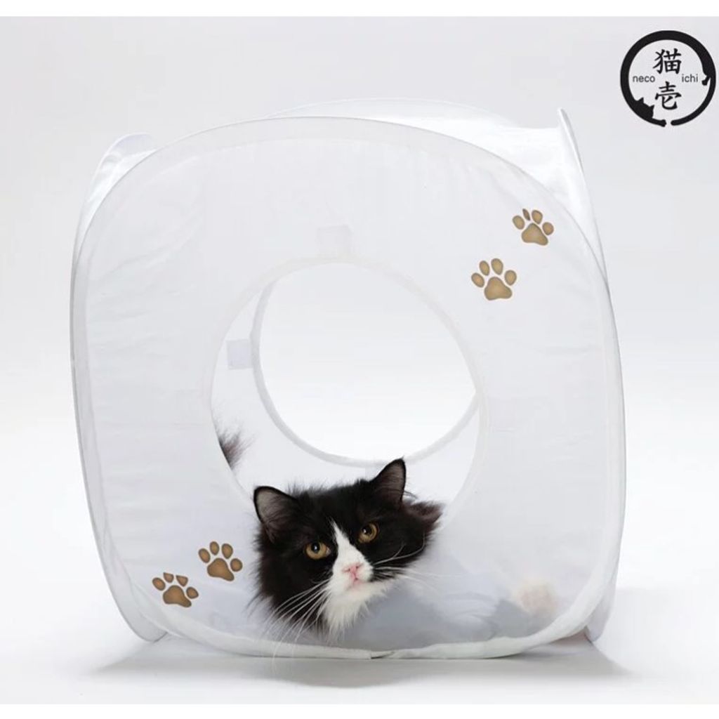 tw-11134207-7qul8-liih06sxxmiq1e