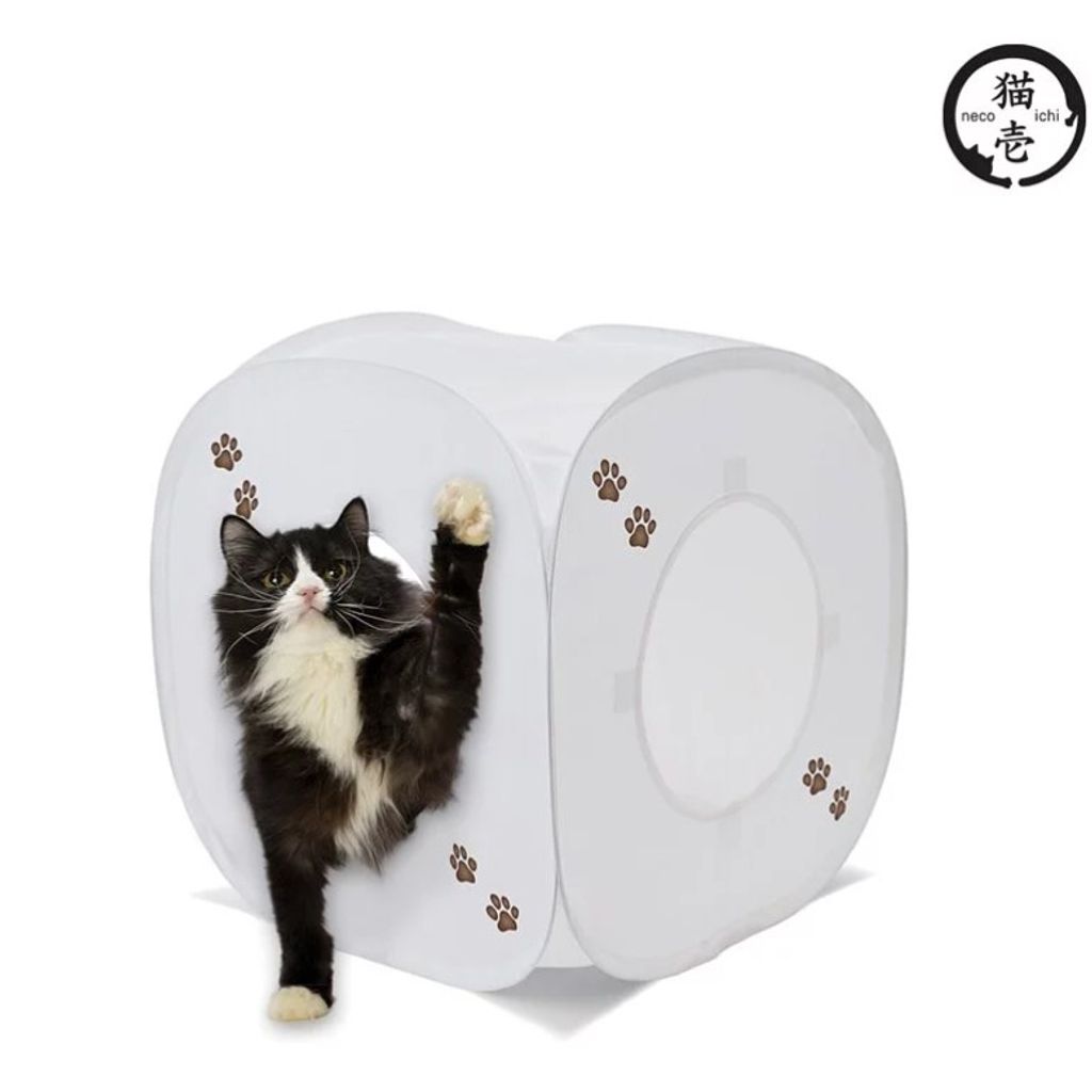 tw-11134207-7qul6-liih06sxw7yaea