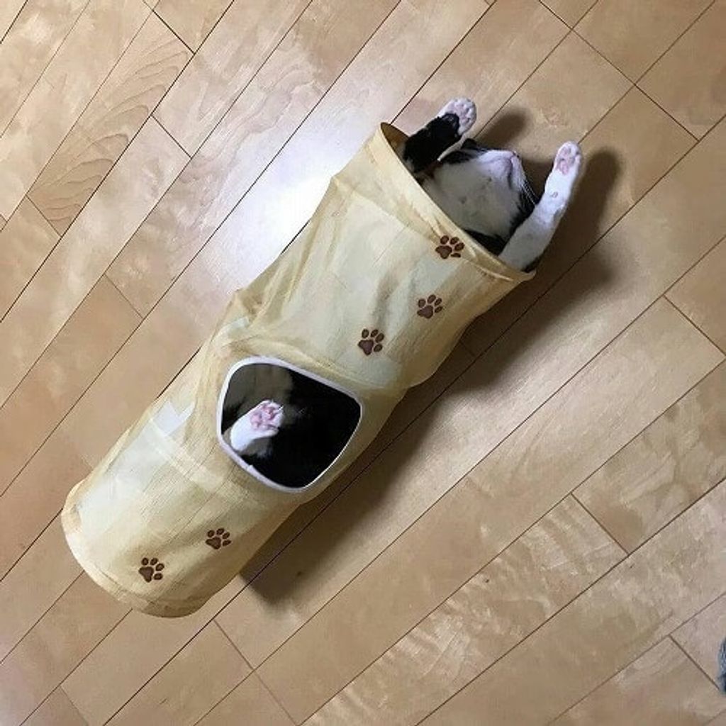 d74b683d8ba958ecc0e26f2493a38135