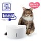 愛貓視窗型進階2.5L