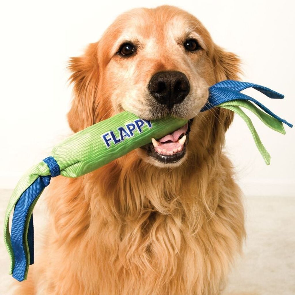 dbf11c2e83f9309a1e6e1018eda9275f