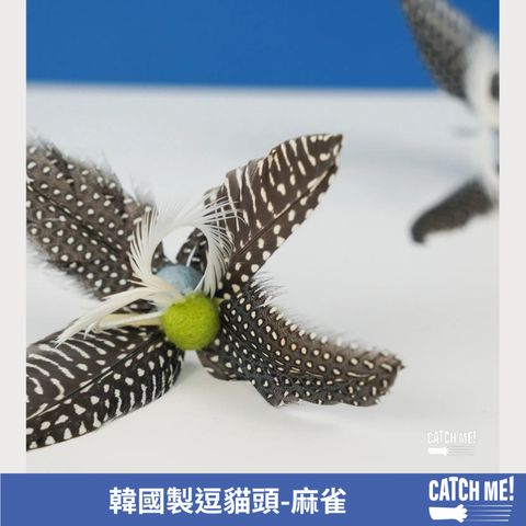 tw-11134207-7r98q-lz644wdzc6442d