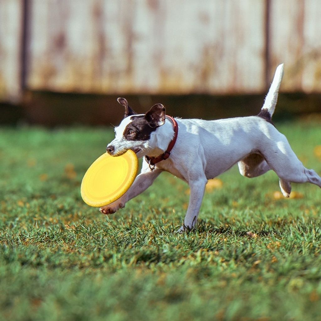 b919ad703967eedacebd96d5df4f1ad8