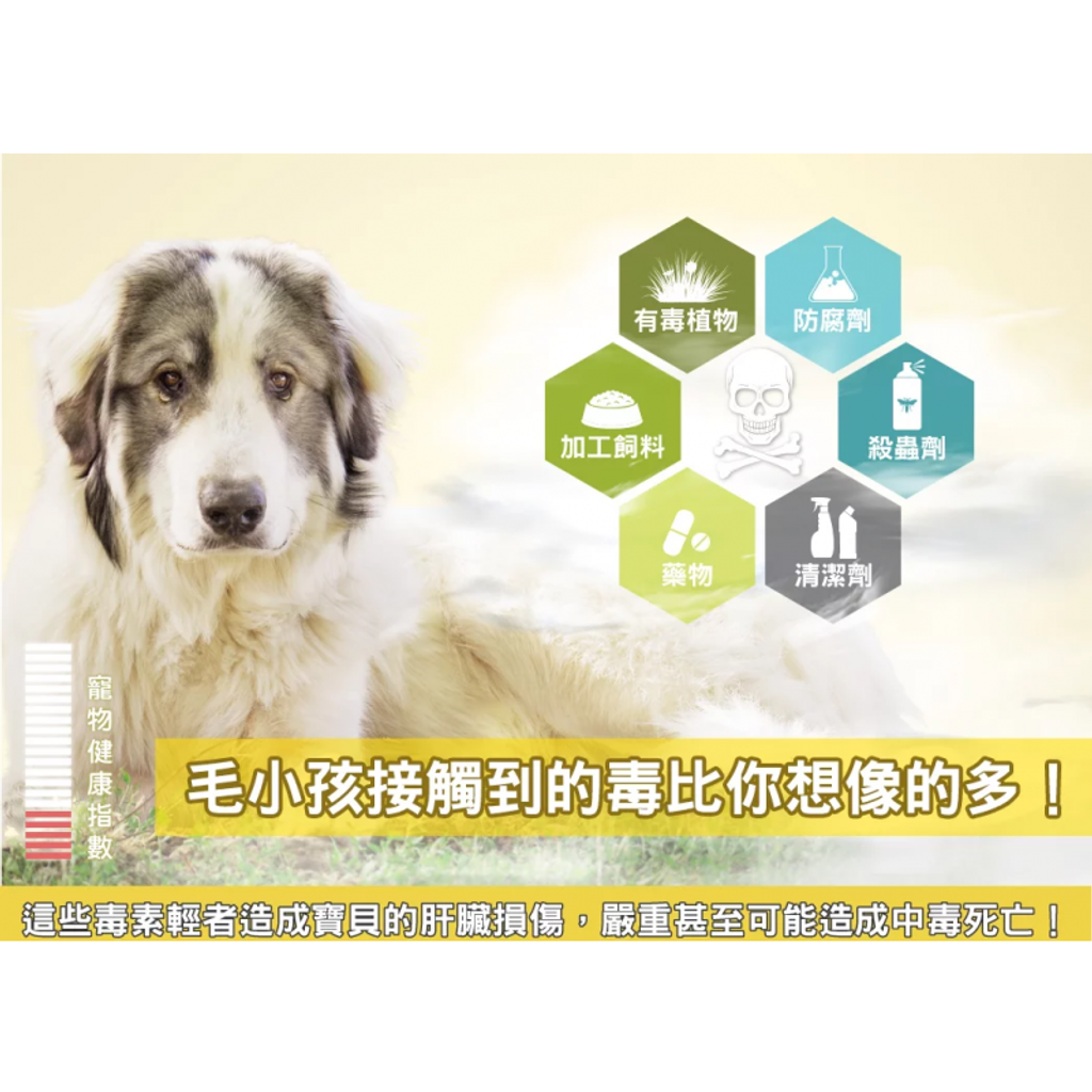 tw-11134207-7qul8-lh2xvytw7mss06