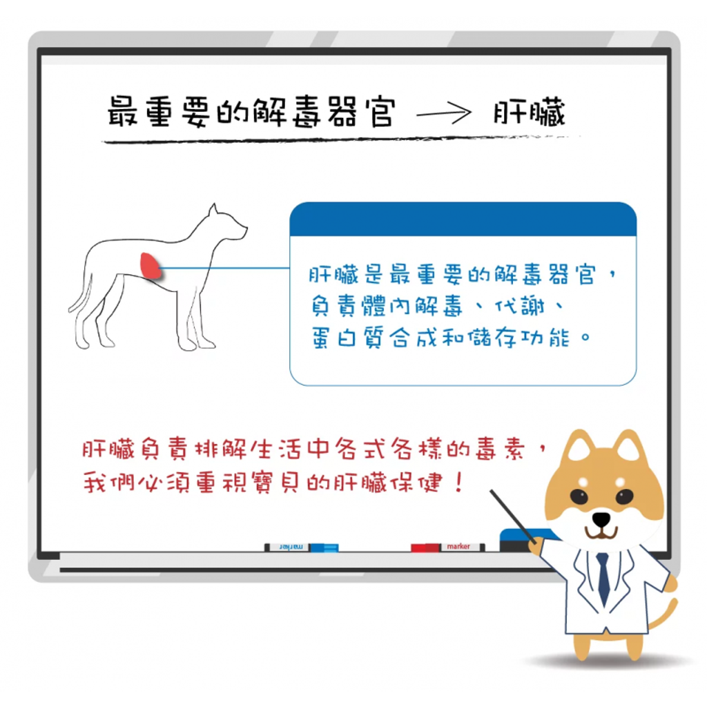 tw-11134207-7qukw-lh2xvytw91d8ab