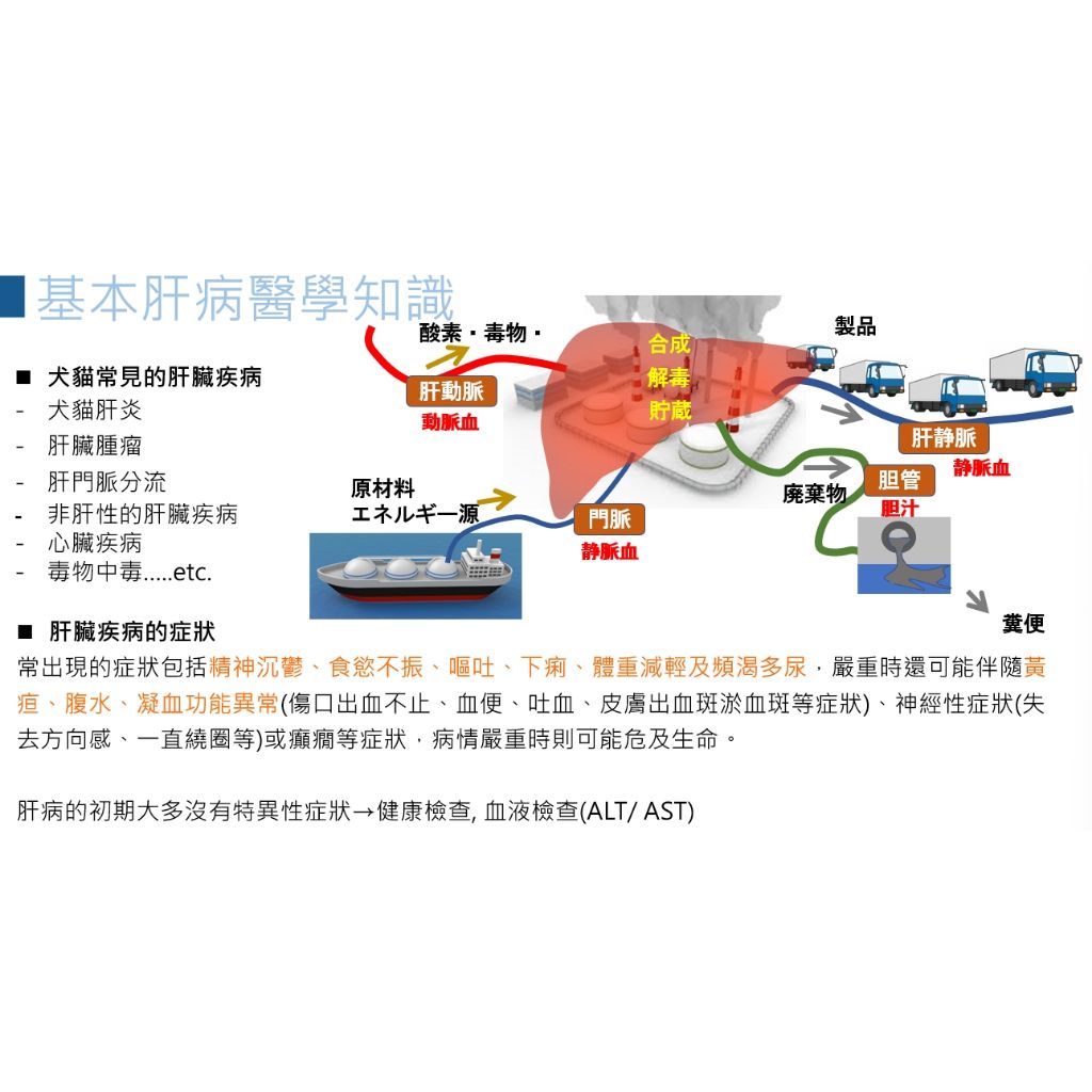 tw-11134207-7r98y-llx8b9aepyu197