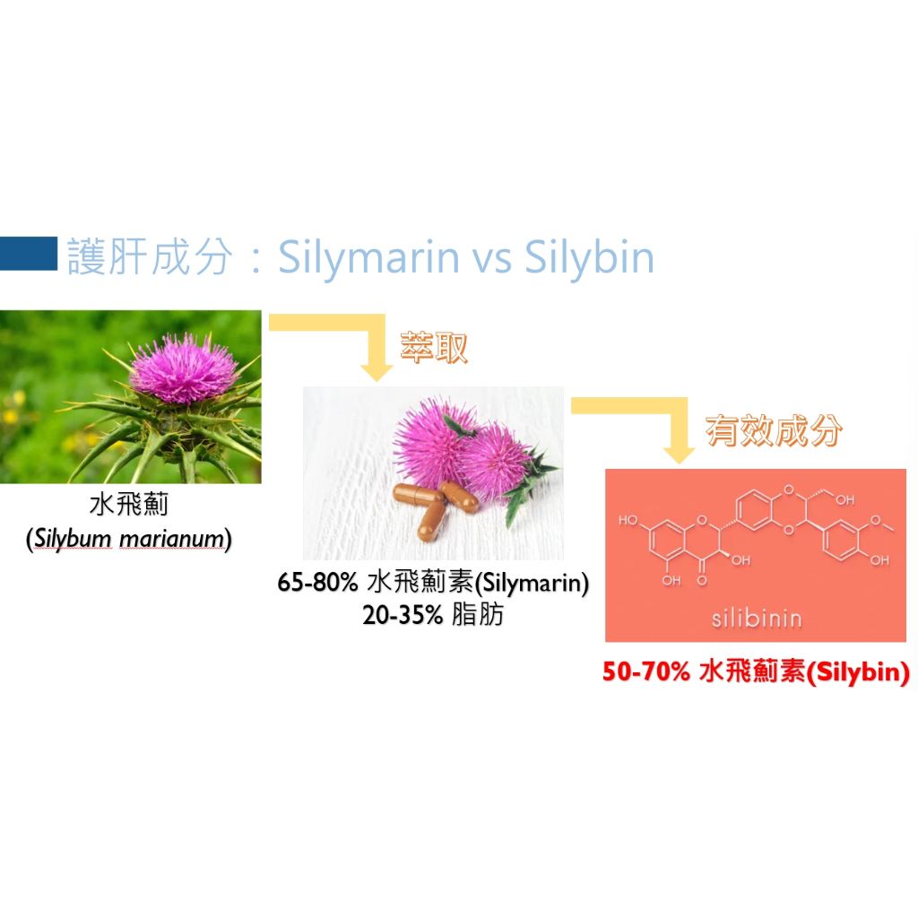 tw-11134207-7r98w-llx8b9aerdeh57