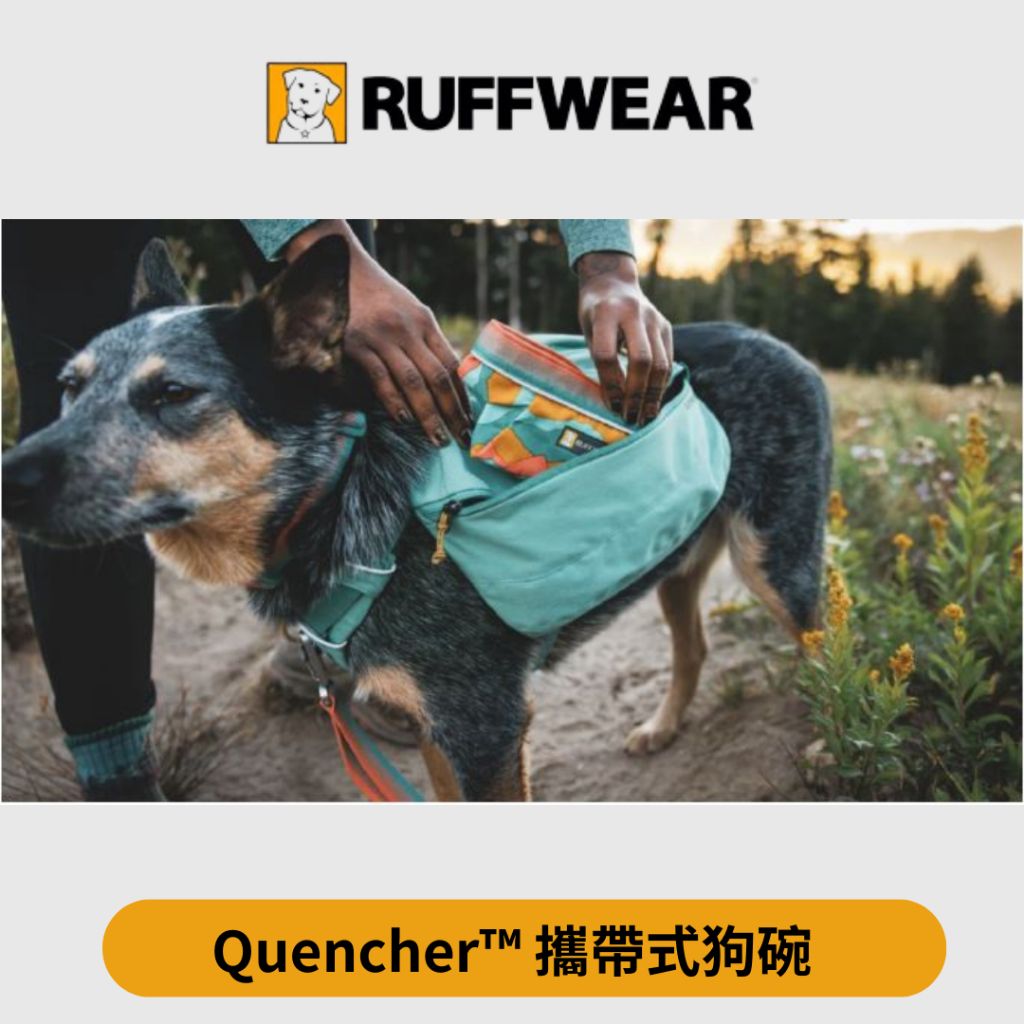 tw-11134207-7r990-lv9xgaz6v5m1c3