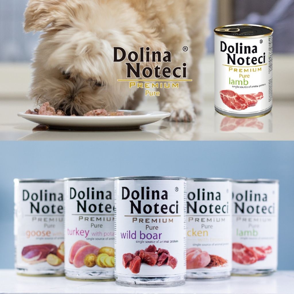 tw-11134207-7r98x-lx2edmveggtif4