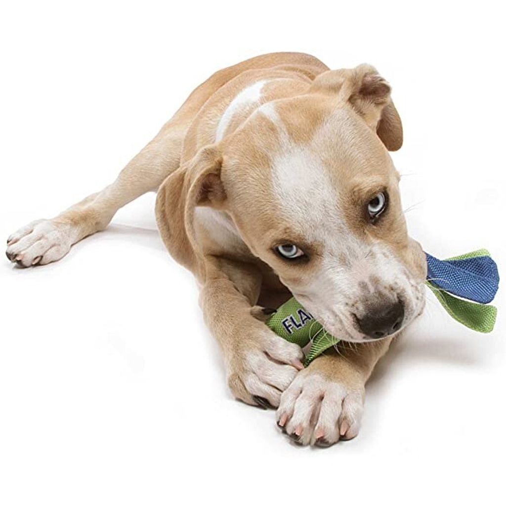 25064e816ca55bb6811f0689a9bb9e11