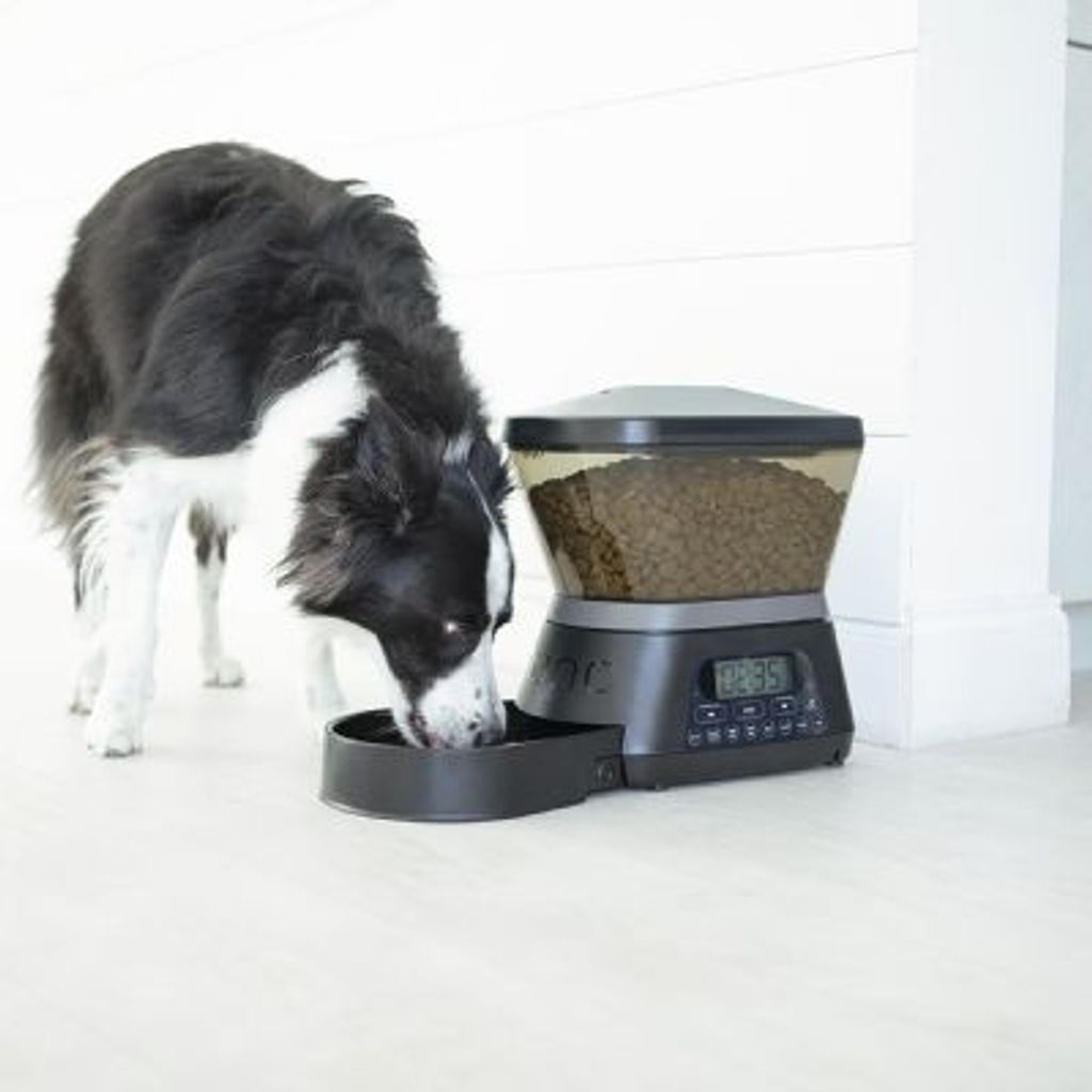 9aa521a4d09a98a3856995a82229ee74