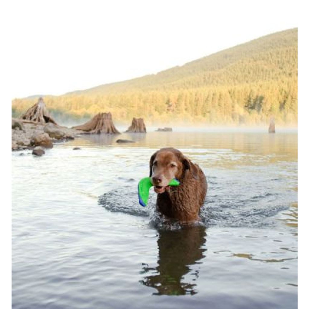 tw-11134207-7qul8-lfgn1l6fo4buaa