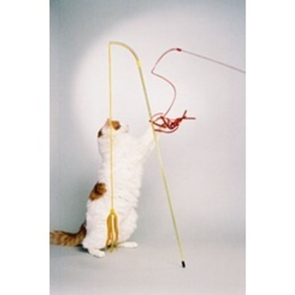 sg-11134201-22110-vvmzgfepovjvcb