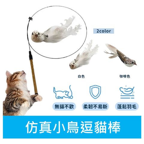 tw-11134207-7qul3-ljfgaav59npe10