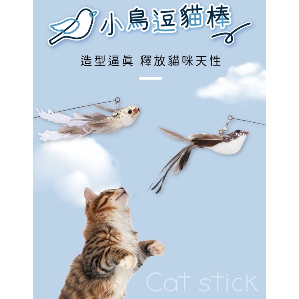 tw-11134207-7quky-ljffpil8a1c270