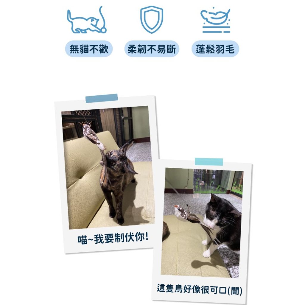 tw-11134207-7qul2-ljffpil8bfwi1e