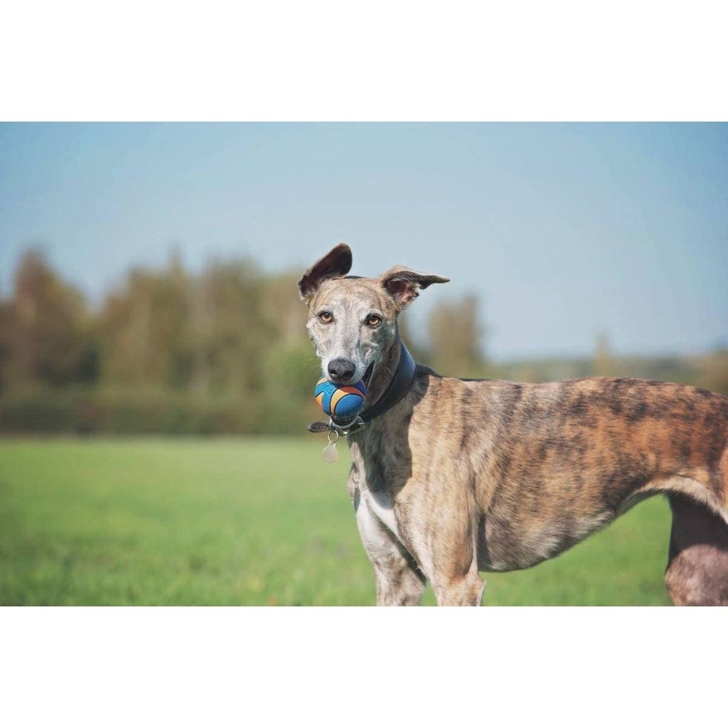 00fed08a0187eed5444611b5d2134899