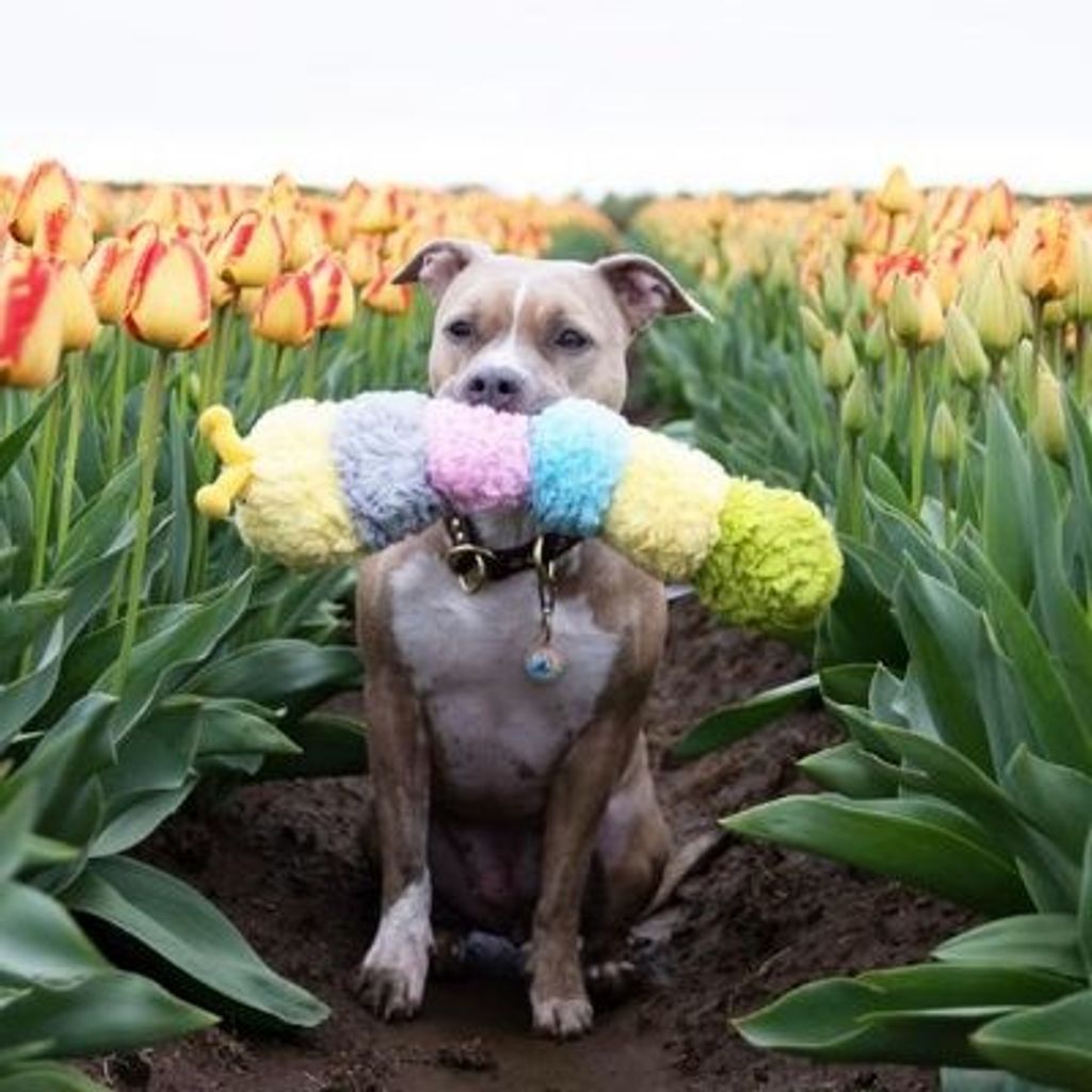 sg-11134201-22100-lwk85rfb43iv69