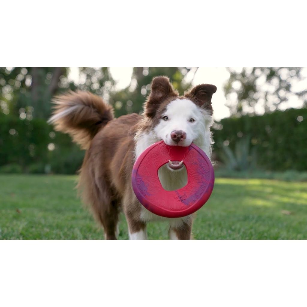 8666ce126e6967b931a27f91b323caa2