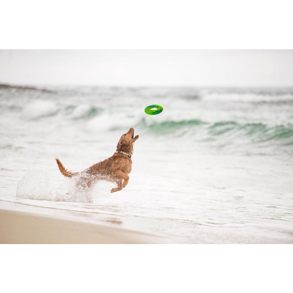 21f90b609f23c55f6487178818c78588