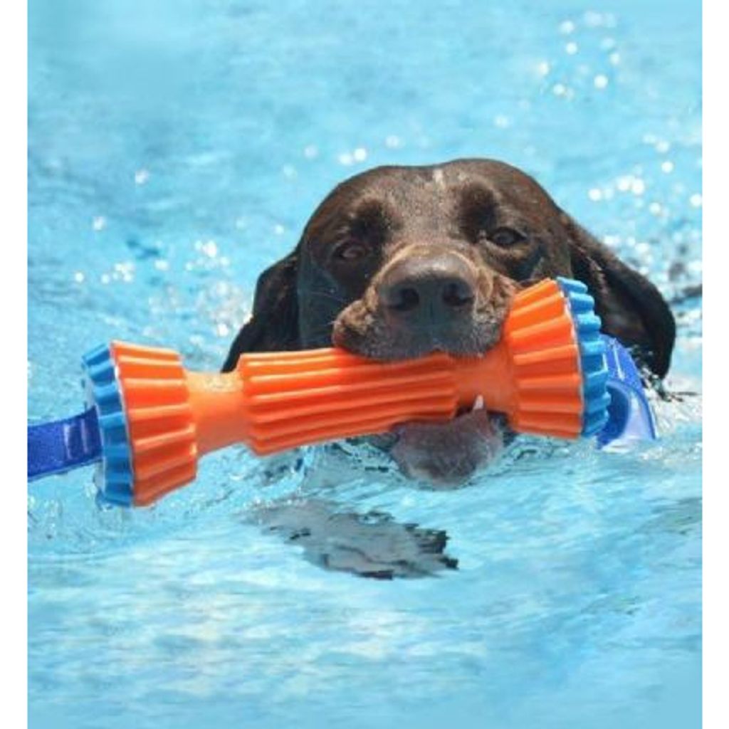 tw-11134207-7qul6-lfgmbzpc7qp6fc