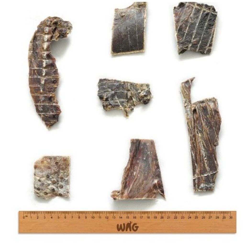 8dec7c870e27c104829a1b7601d74f42