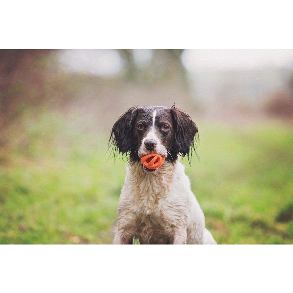 5c8b6d7a188678a6156c5a6af427df73