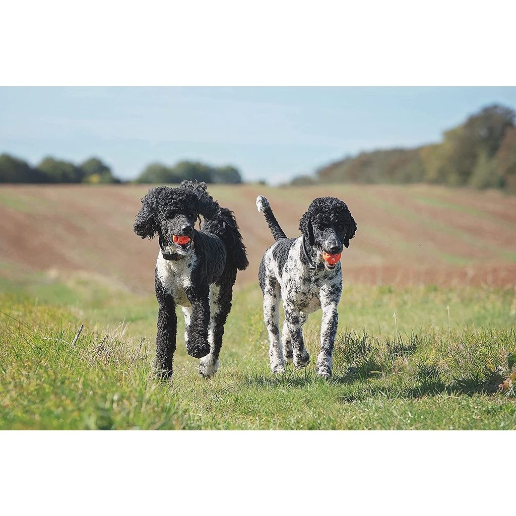 d977d2a00aeb052b6821cf74b0f3c55a