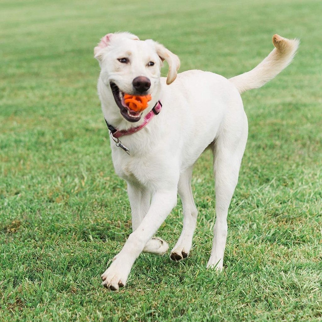 1787eb47bdf1fcbc01d4bd37d9ef1069