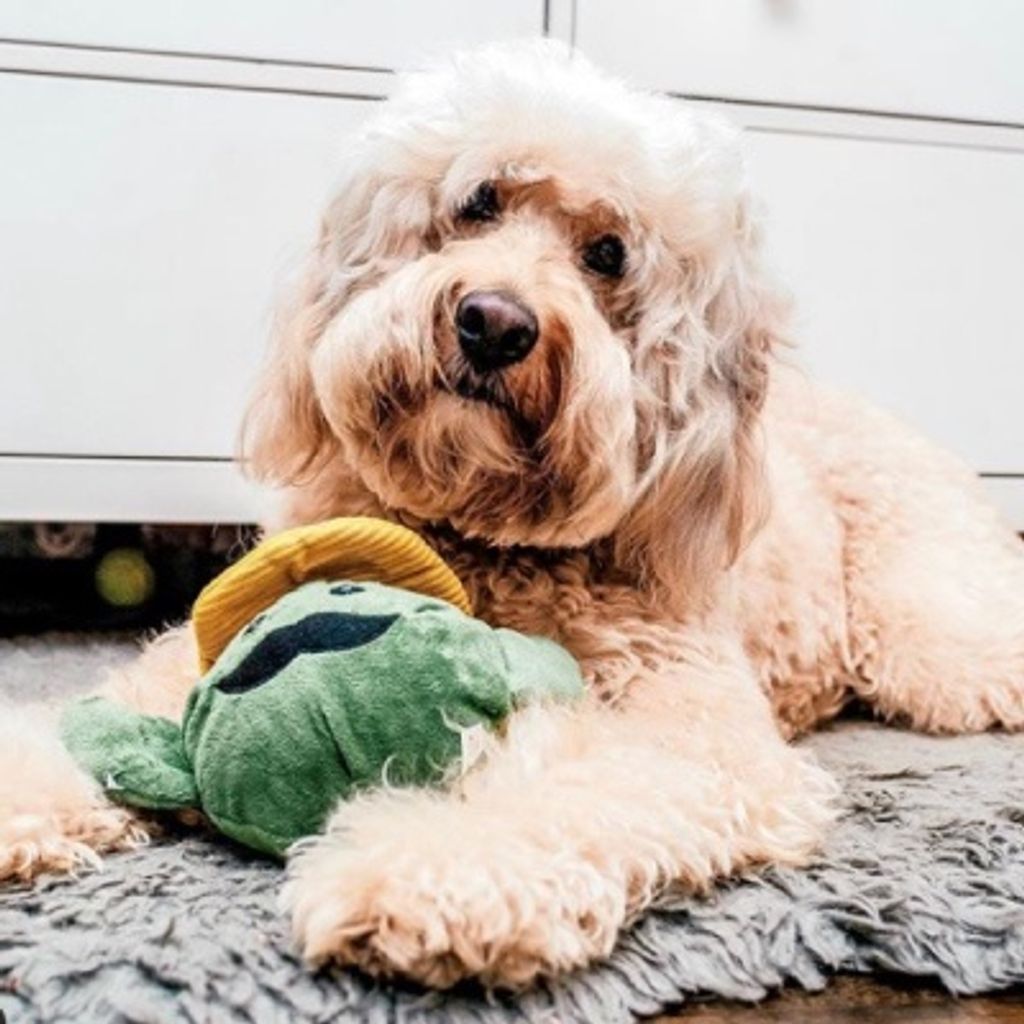 sg-11134201-22100-7nrqgzmt3vivf3