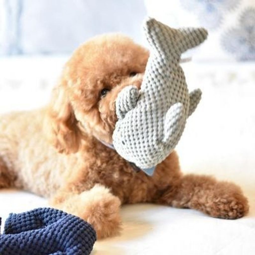 sg-11134201-22100-7rmx0bif2vivc8