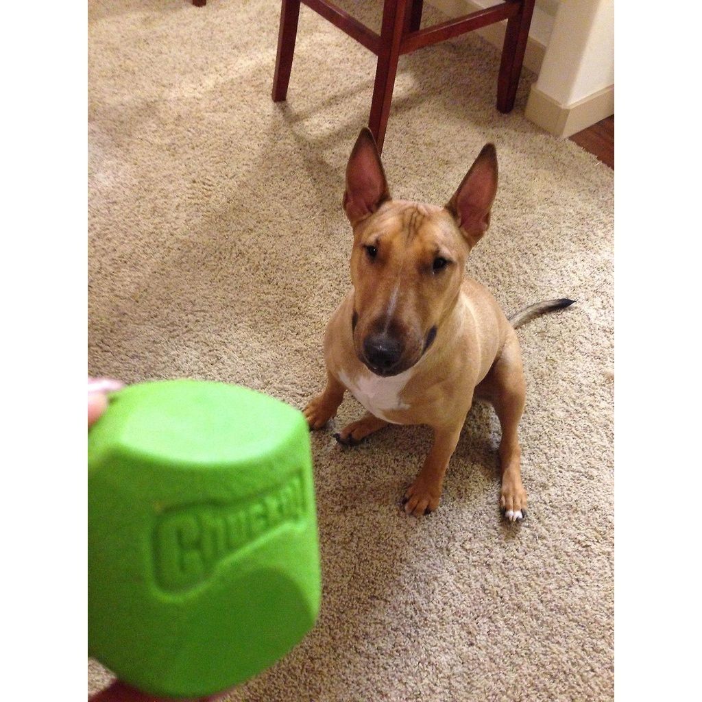 db751d663b047e550627f424cf17949d